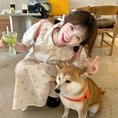 红菱艳 海报