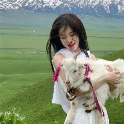 蜕皮计划 海报
